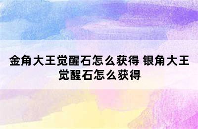 金角大王觉醒石怎么获得 银角大王觉醒石怎么获得